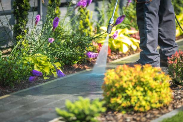 Best Commercial Pressure Washing in Despard, WV