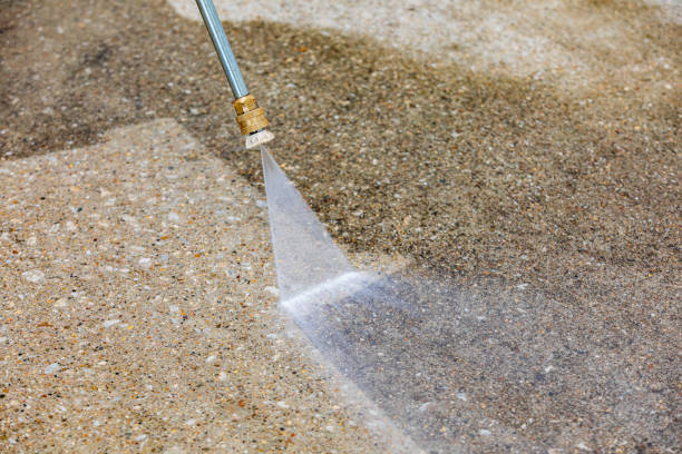 Best Building Exterior Pressure Washing in Despard, WV