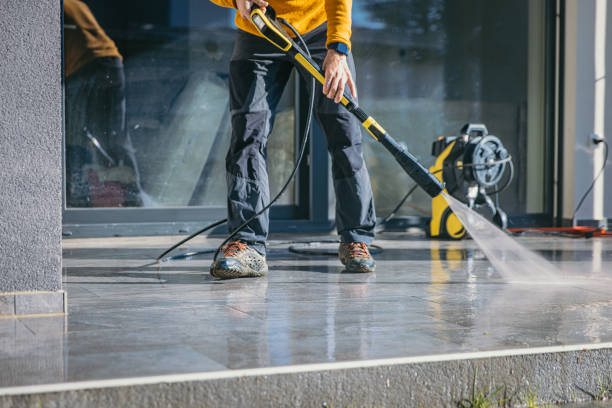 Best Soft Washing for Delicate Surfaces in Despard, WV