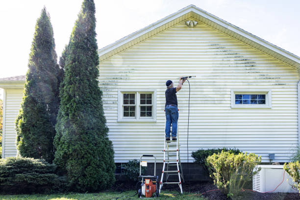 Best Rust and Stain Removal in Despard, WV