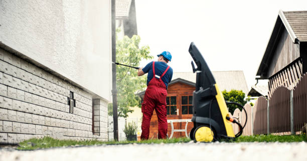 Best Residential Pressure Washing in Despard, WV